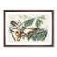Yellow-Billed Cuckoo Birds by John Audubon - Picture Frame Painting Print-55629222-55629226