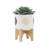 Includes plant rack flower pots