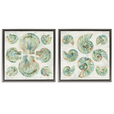 Ensemble de 2 cadres flottants à motif de coquillages salés, design par June Erica Vess