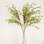 Mixed Assortment Floral Arrangement