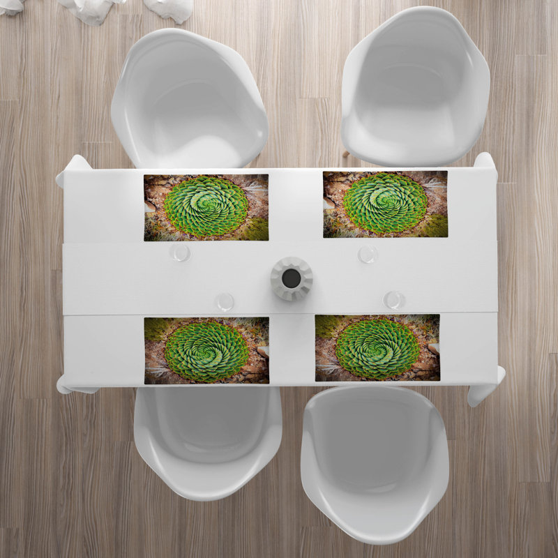 Récapitulatif 18,5" plante