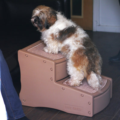 Rayden Collapsible Stairs With 2 Steps