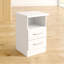 Cascio 2 Drawer Bedside Table-1985906656