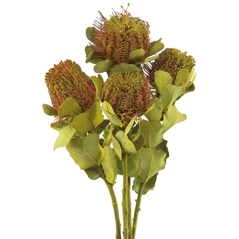 Arrangement Coccinea