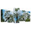 Palmiers Harnek Miami-106046181