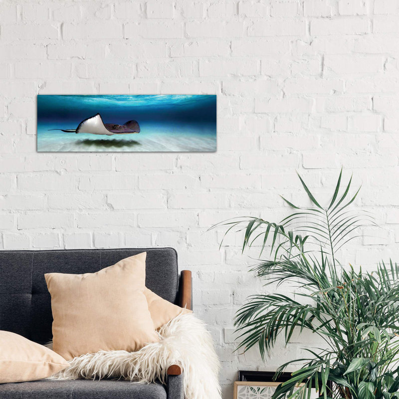 Southern Stingray, North Sound, Grand Cayman, Cayman Islands - Wrapped Canvas Panoramic Print