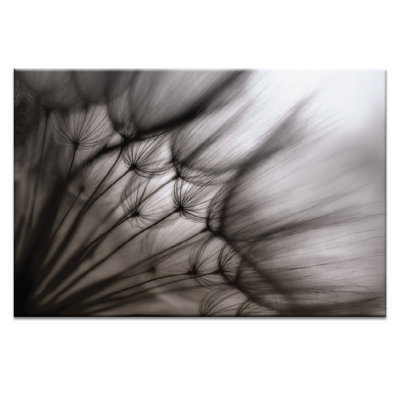 Print on Canvas