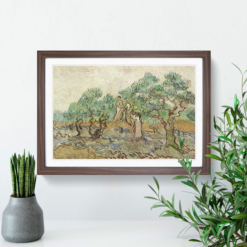 The Olive Orchard by Vincent Van Gogh - Picture Frame Painting, 27cm H x 36cm W x 2cm D, Walnut Framed