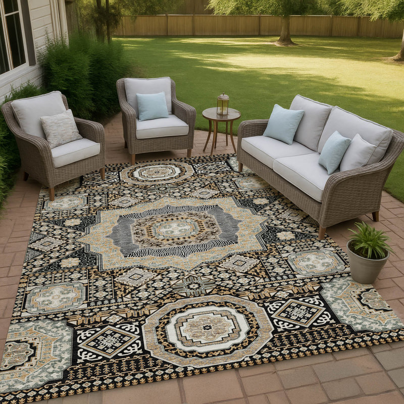 Machine Washable Indoor/Outdoor Chantille ACN2525 Traditional Rug, Rectangle 8' x 10', Black