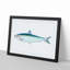 Pilchard Fish by Edward Donovan - Picture Frame Painting Print-55583447-55583449