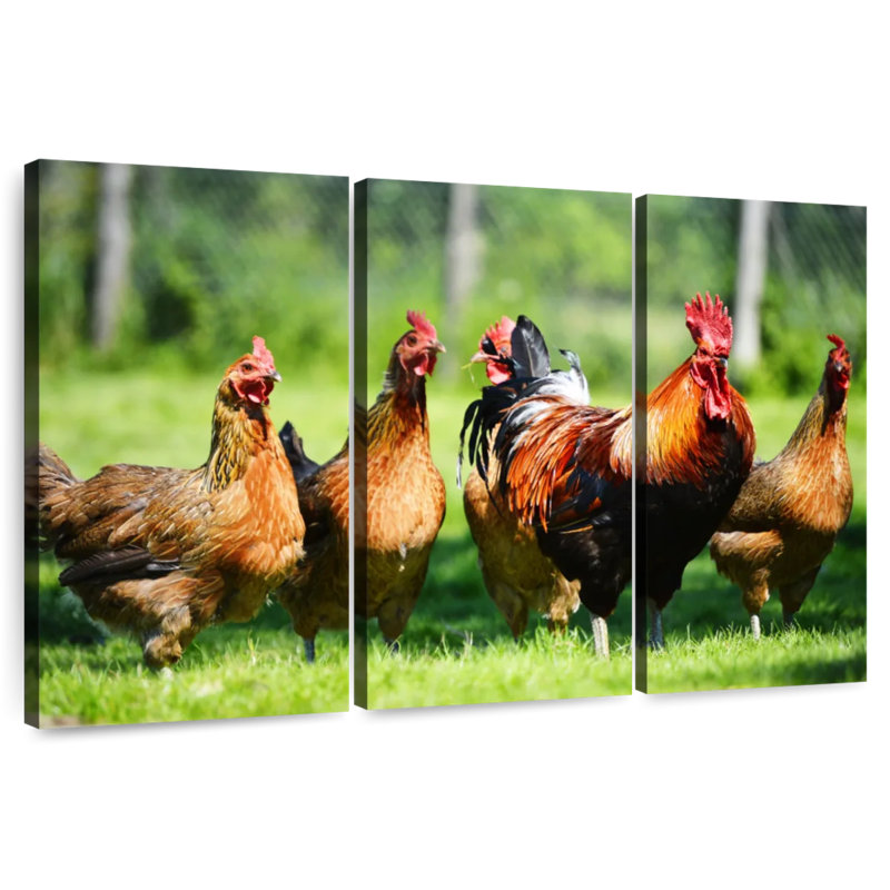 Brampt Outdoor Chickens, 36" H x 57" W