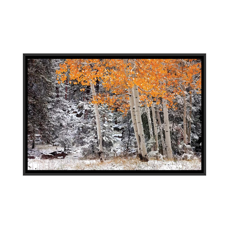 «A Little Bit Of Winter», impression sur toile, H 18 po x l 26 po x P 1,5 po, Toile avec cadre flottant noir, Pas de tapis