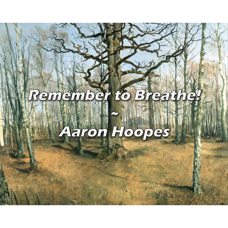 Aaron Hoopes Quote: Remember to Breathe!