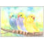 Bird's Song Print by Janice Sadler-46514918-62975091