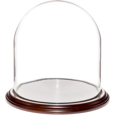 Vucciria 9.75" x 10" Glass Display Dome Cloche