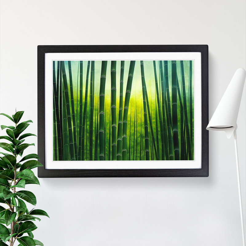 Cute Bamboo Forest - Framed Print, Black, 46cm H x 64cm W x 2cm D
