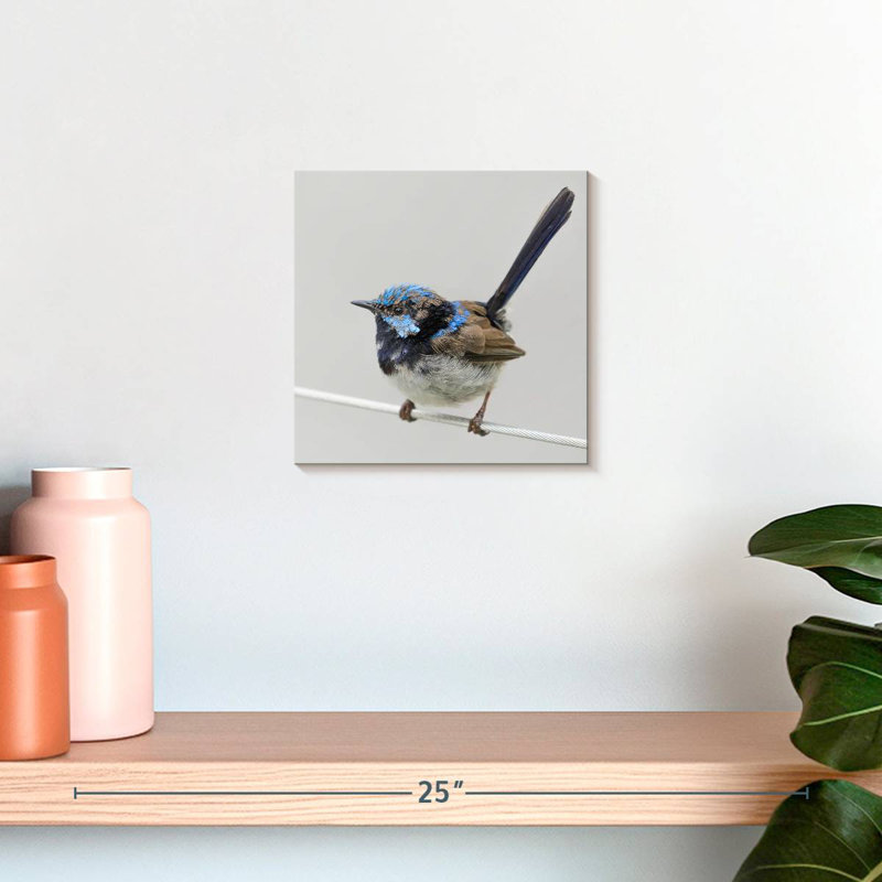 Brampt Bluebird Close Up, 10" H x 10" W