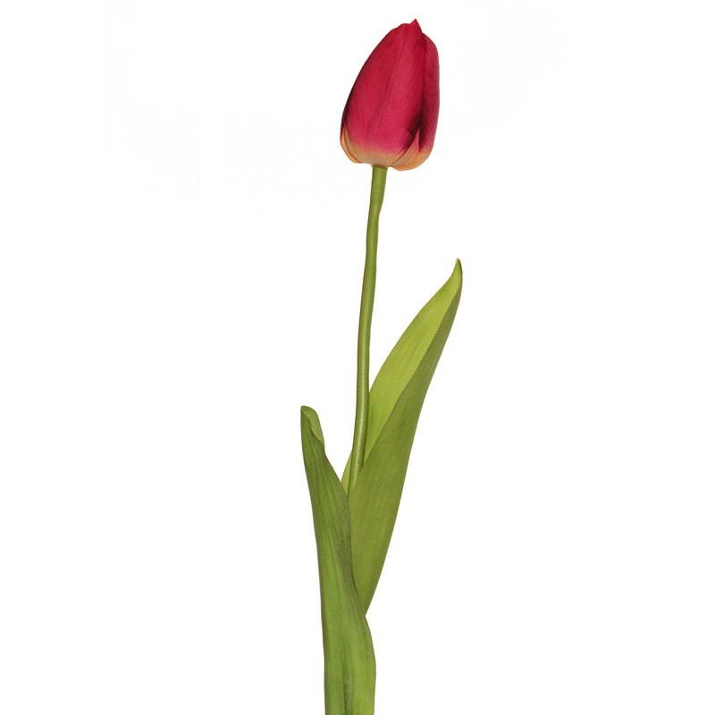 Tige de tulipe hybride véritable touch, Rose foncé