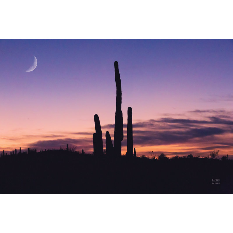 Desert Moons by Nathan Larson - Wrapped Canvas Print, 20cm H x 30cm W