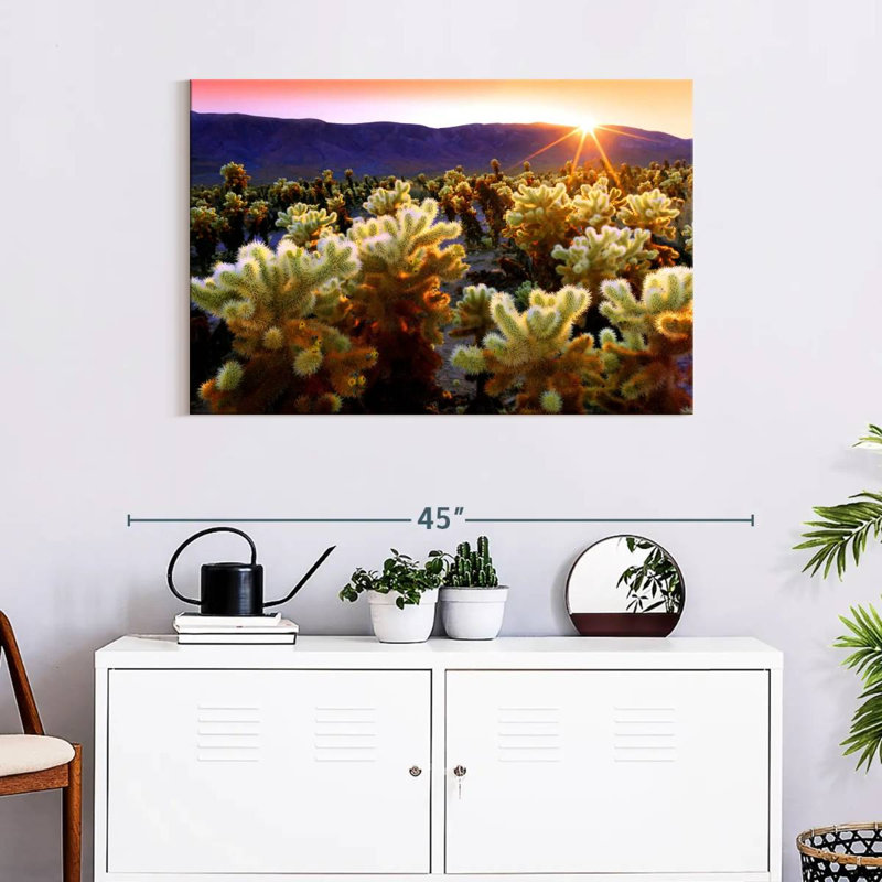 Joshua Tree National Park I