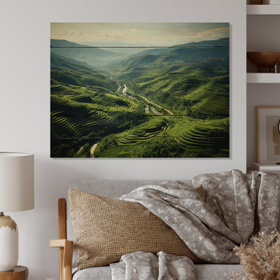 " Scenic Majestic Vineyard I "
