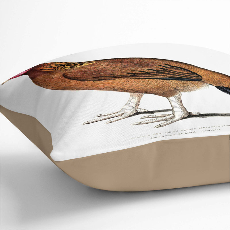 Malabar Hen by John Edward Gray Cushion with Filling, 55cm H x 55cm W x 20cm D, Stone