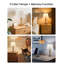 Wood Table Lamp