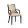 Elianys 18.5'' H Upholstered Beech Armchair