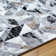 Dercy Chevron Indoor Rug