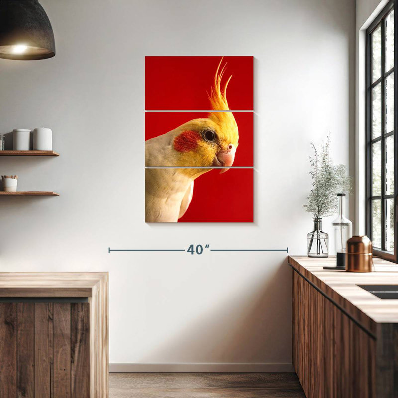 Brampt Lutino Cockatiel, 38" H x 24" W