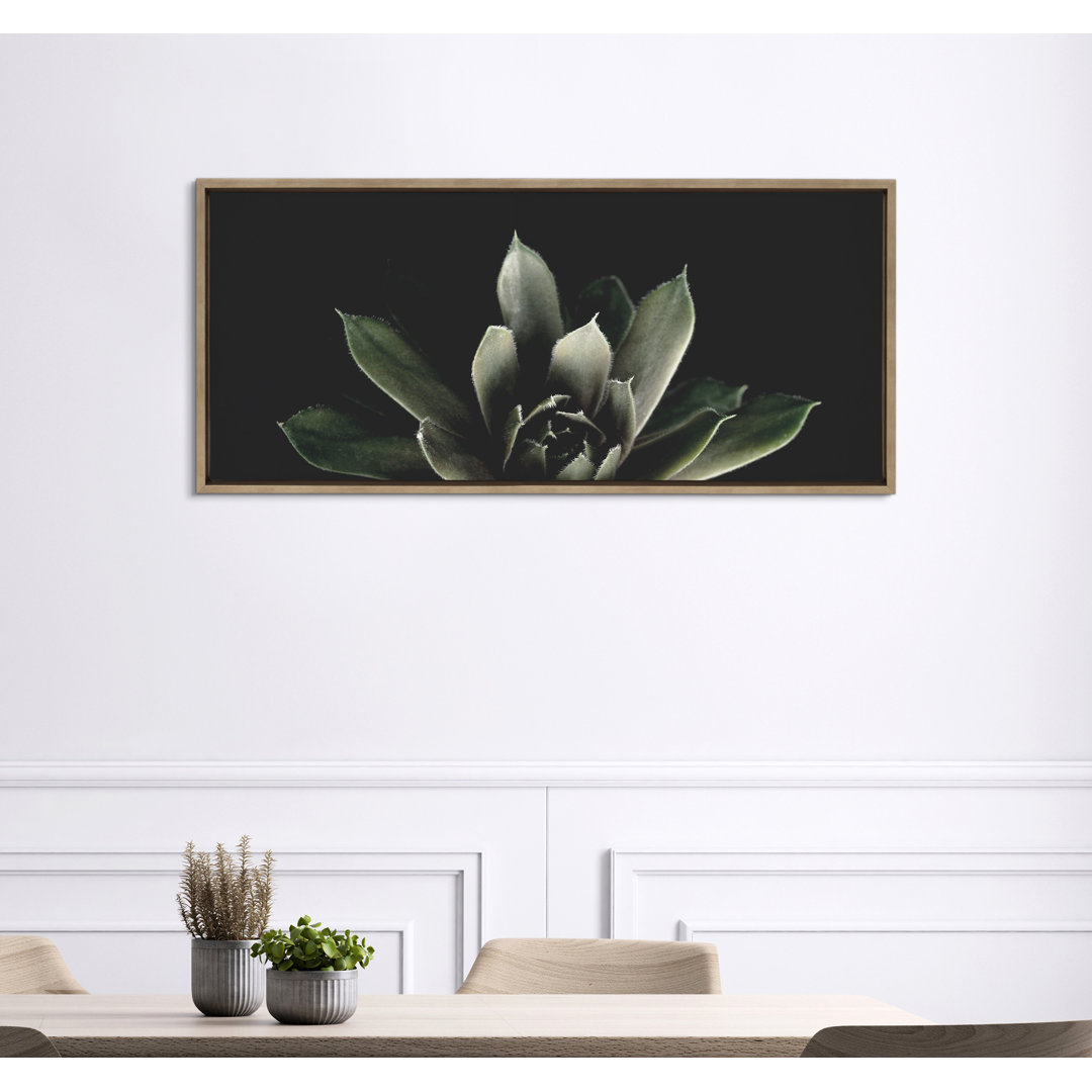 Jasera Succulent 8 Framed Canvas By Emiko And Mark Franzen Of F2images 18X40 Gold Dakota Fields 