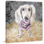 Parvez Taj - Wrapped Canvas Painting-37945385