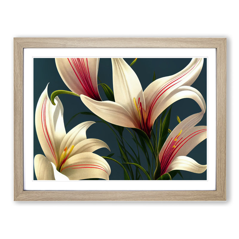 Bold Lily Flowers - Single Picture Frame Print, Oak Framed, 46cm H x 64cm W x 2cm D