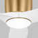 Aisling Ceiling Fan with LED Lights