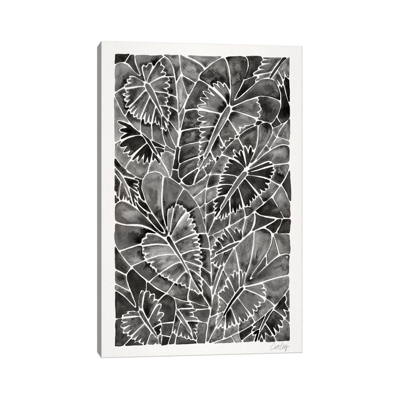 Strickler noir Schismatoglottis Calyptrata, H 26 po x l 40 po x P 1,5 po, Pas de tapis, Toile tendue