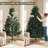 Christmas Tree with Lights