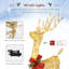 Christmas Decoration