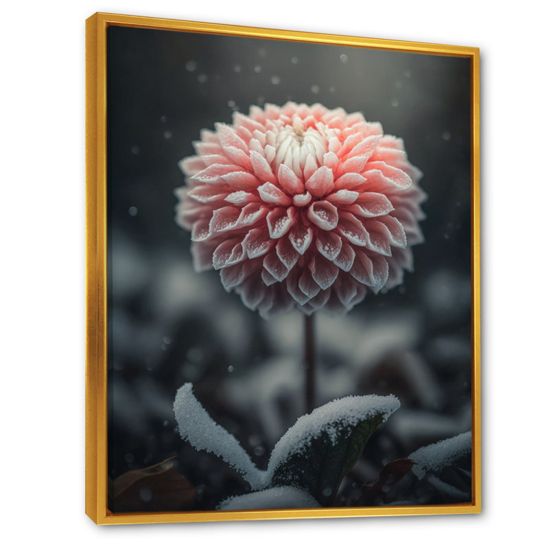 «A Blooming Pink Dahlia Flower in Winter III», impression sur toile, H 32 po x l 24 po x P 1 po, Toile avec cadre flottant or