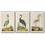 Heron Portrait I, ensemble de 3 toiles encadrées-97792284-97792276