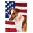 Fox-terrier sélectionné