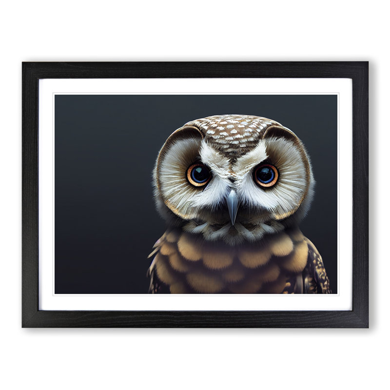 Incredible Owl - Single Picture Frame Print, Black, 46cm H x 64cm W x 2cm D