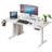 Adjustable Standing Desk With Laminate-125544589-88086878