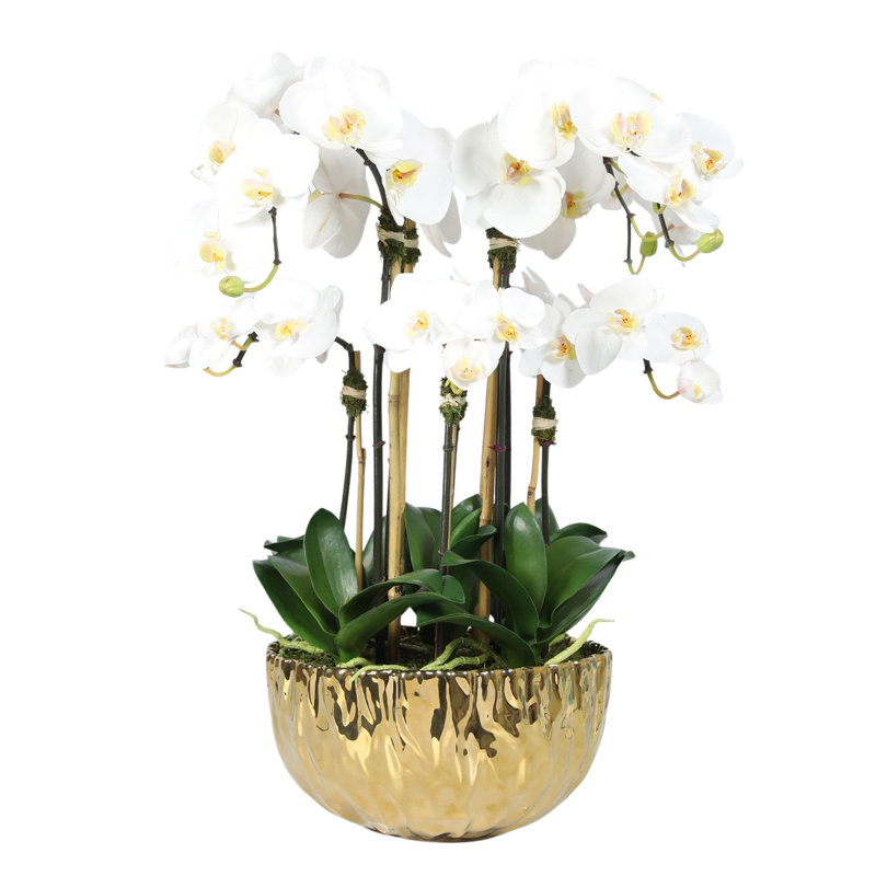 Orchid Arrangement In Vase, Gold