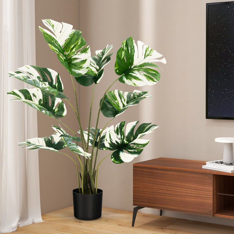 47 plantes