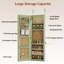 Armoire à bijoux 42,5 po avec lumières DEL, armoire à bijoux murale / suspendue-9650519