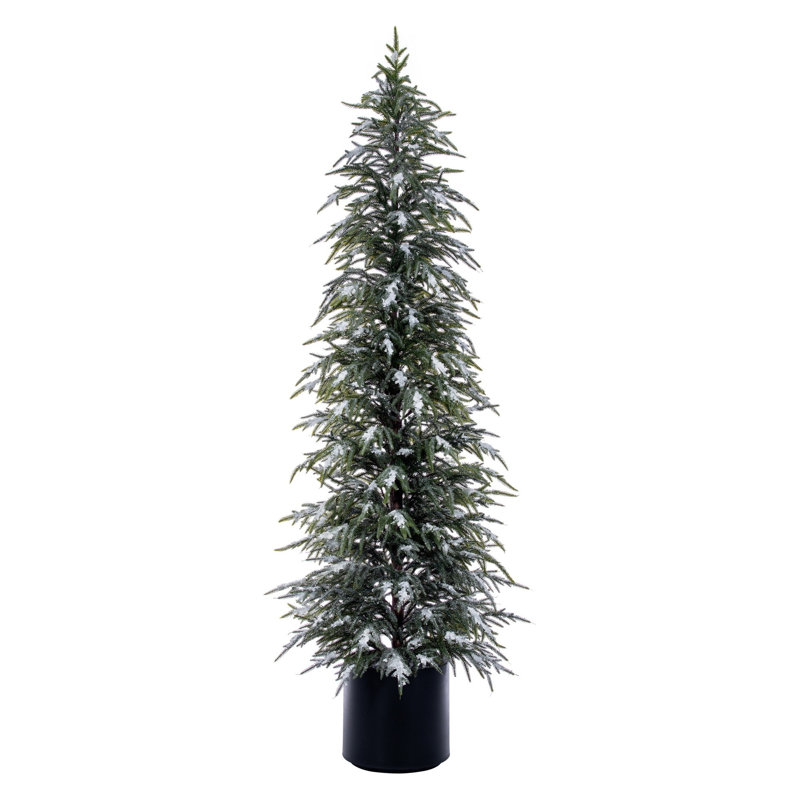  Arbre en pot 6 pi Norfolk G / K, 6 pi x 10,4 po