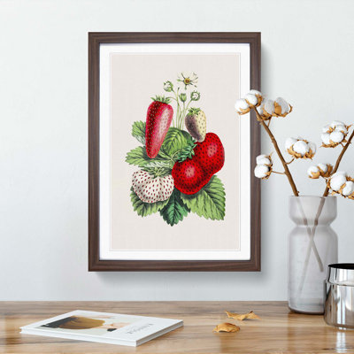 Wild Strawberry Illustration - Framed Print