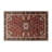 Persian Brown Indoor and Outdoor Area Rug-20245657