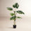 38'' Faux Plant in Pot