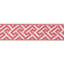 Treillis Passementerie Sanchi Tape 100% Polyester Fabric-1312473299